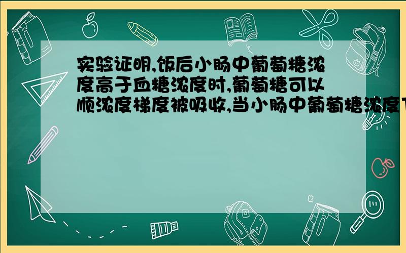 实验证明,饭后小肠中葡萄糖浓度高于血糖浓度时,葡萄糖可以顺浓度梯度被吸收,当小肠中葡萄糖浓度下降至显著低于血糖浓度时,葡萄糖仍能被迅速吸收,此时,小肠绒毛上皮细胞吸收葡萄糖的