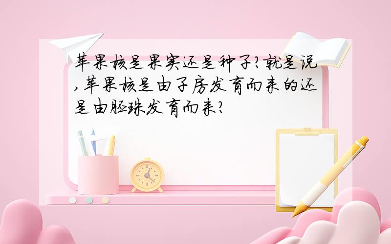 苹果核是果实还是种子?就是说,苹果核是由子房发育而来的还是由胚珠发育而来?