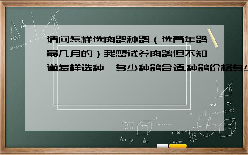 请问怎样选肉鸽种鸽（选青年鸽最几月的）我想试养肉鸽但不知道怎样选种,多少种鸽合适.种鸽价格多少.怎样选种鸽好坏