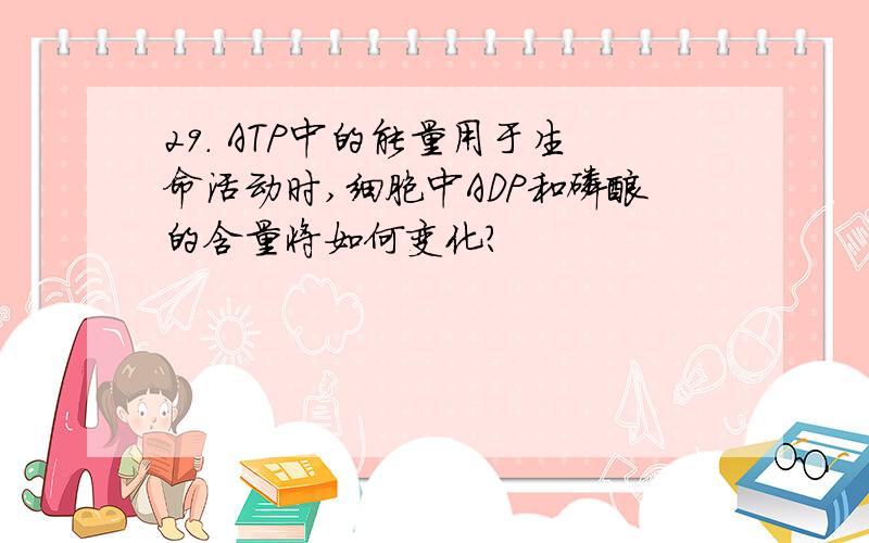 29． ATP中的能量用于生命活动时,细胞中ADP和磷酸的含量将如何变化?