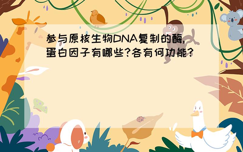 参与原核生物DNA复制的酶,蛋白因子有哪些?各有何功能?