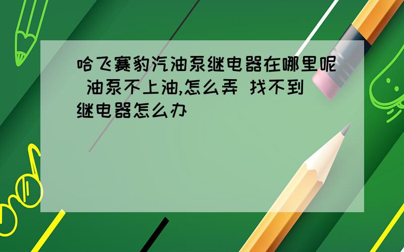 哈飞赛豹汽油泵继电器在哪里呢 油泵不上油,怎么弄 找不到继电器怎么办