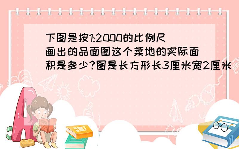 下图是按1:2000的比例尺画出的品面图这个菜地的实际面积是多少?图是长方形长3厘米宽2厘米