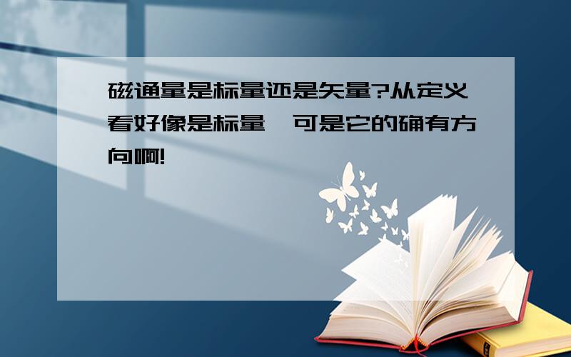 磁通量是标量还是矢量?从定义看好像是标量,可是它的确有方向啊!