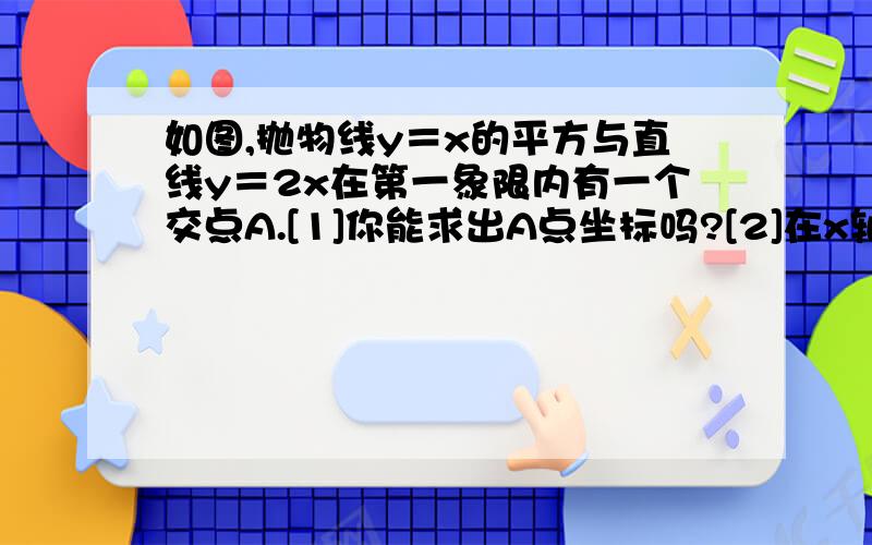 如图,抛物线y＝x的平方与直线y＝2x在第一象限内有一个交点A.[1]你能求出A点坐标吗?[2]在x轴上是否存在一点P,使三角形AOP为等腰三角形,若存在,请你求出点P的坐标;若不存在,请说明理由.