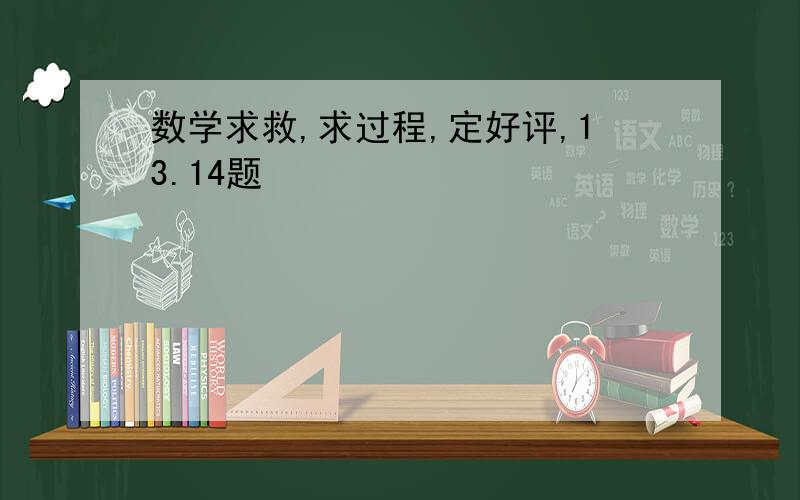 数学求救,求过程,定好评,13.14题