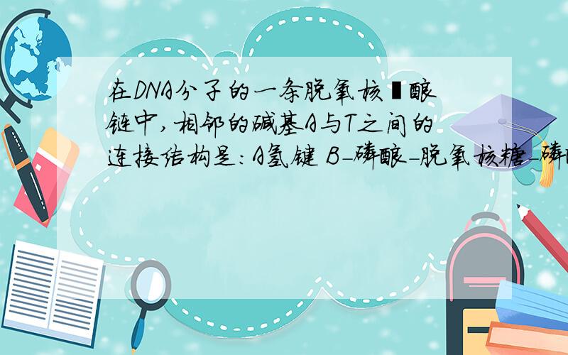 在DNA分子的一条脱氧核苷酸链中,相邻的碱基A与T之间的连接结构是：A氢键 B-磷酸-脱氧核糖-磷酸C肽键D -脱氧核糖-磷酸-脱氧核糖 为什么答案选D?