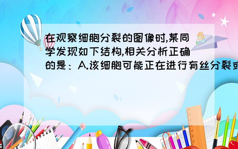 在观察细胞分裂的图像时,某同学发现如下结构,相关分析正确的是：A.该细胞可能正在进行有丝分裂或减数分裂B.该细胞中一定发生了基因突变C.该细胞如继续分裂可产生正常配子或异常配子,