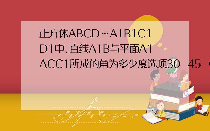 正方体ABCD~A1B1C1D1中,直线A1B与平面A1ACC1所成的角为多少度选项30  45  60   90选哪个？