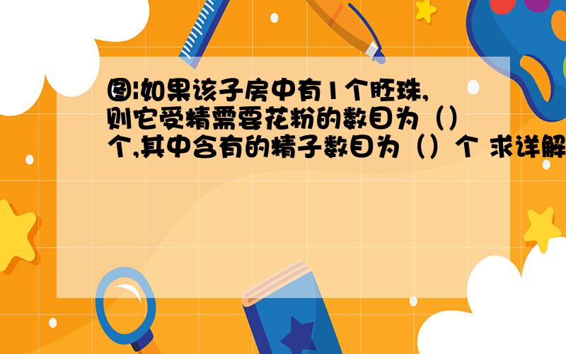 图|如果该子房中有1个胚珠,则它受精需要花粉的数目为（）个,其中含有的精子数目为（）个 求详解