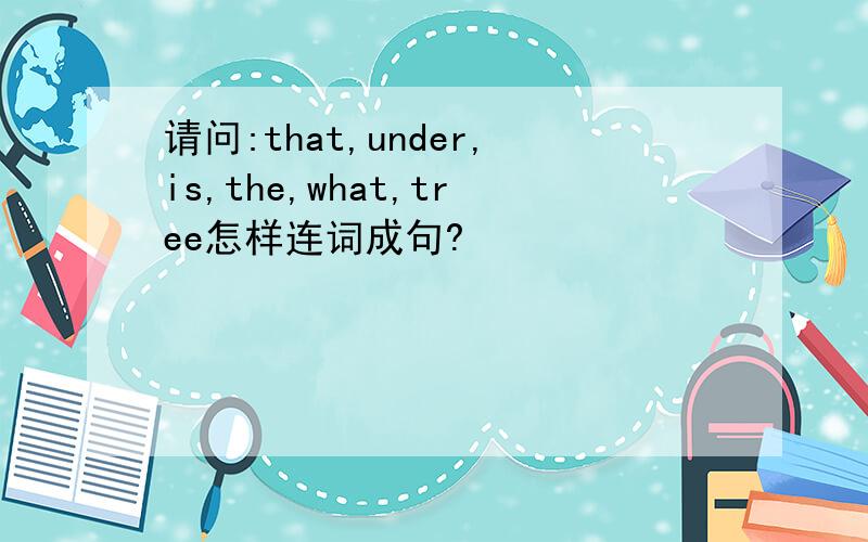 请问:that,under,is,the,what,tree怎样连词成句?