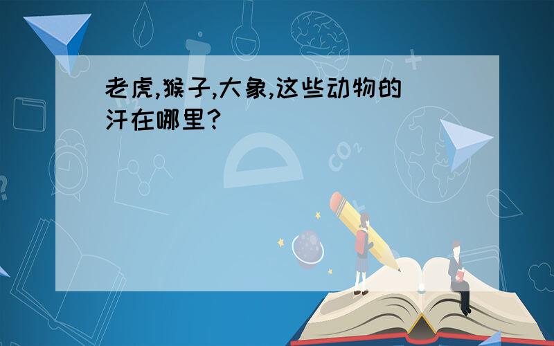 老虎,猴子,大象,这些动物的汗在哪里?