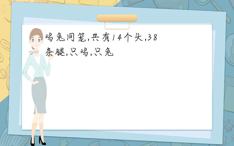 鸡兔同笼,共有14个头,38条腿,只鸡,只兔