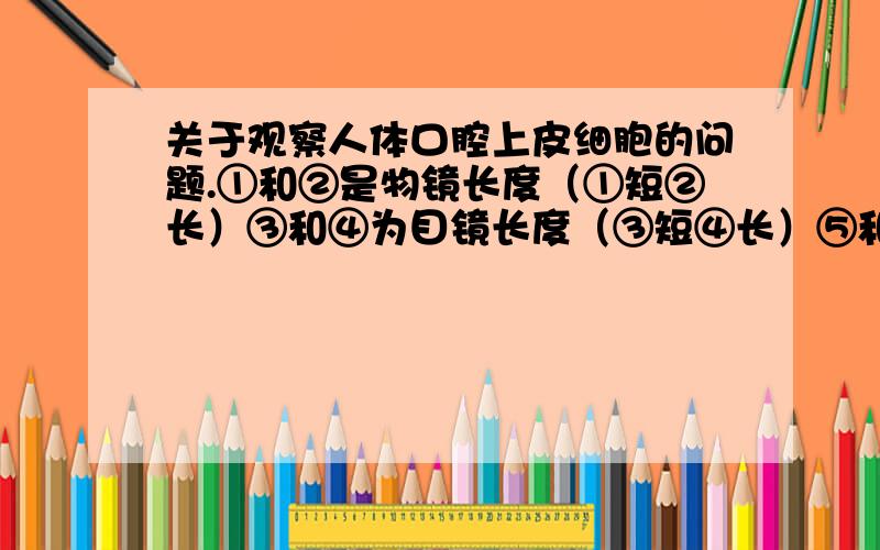 关于观察人体口腔上皮细胞的问题.①和②是物镜长度（①短②长）③和④为目镜长度（③短④长）⑤和⑥是物像清晰时物镜与装片距离.（⑤近⑥远）如果想在视野内看到的细胞最多,该怎么