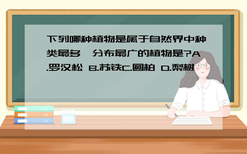 下列哪种植物是属于自然界中种类最多、分布最广的植物是?A.罗汉松 B.苏铁C.圆柏 D.梨树