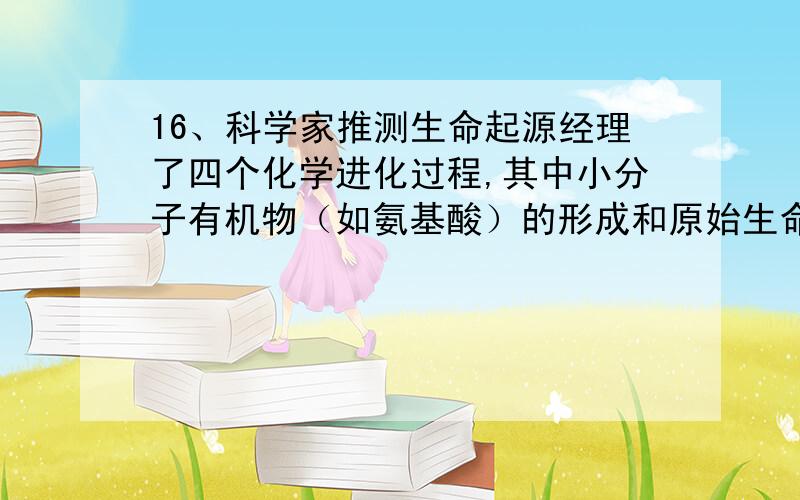 16、科学家推测生命起源经理了四个化学进化过程,其中小分子有机物（如氨基酸）的形成和原始生命诞生的场所分别是（ ）A、原始海洋和原始大气 B、原始大气和原始海洋C、都在原始海洋