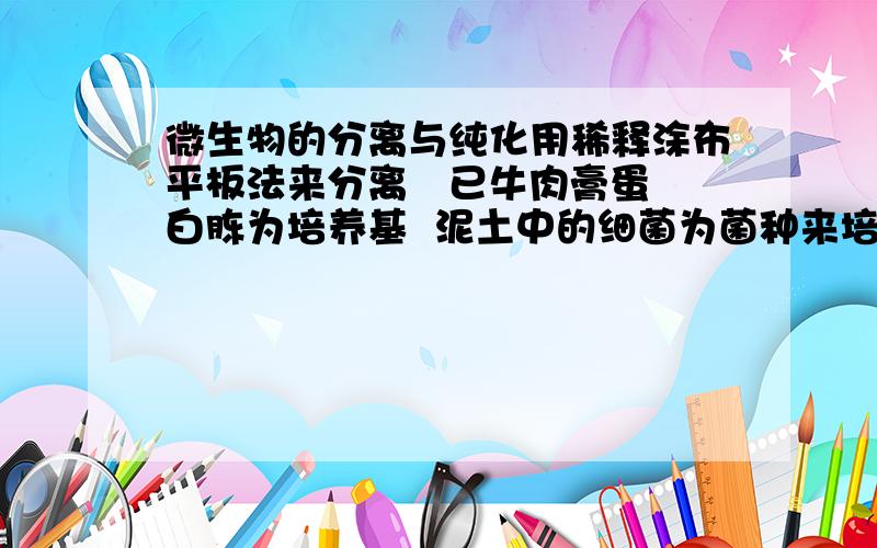 微生物的分离与纯化用稀释涂布平板法来分离   已牛肉膏蛋白胨为培养基  泥土中的细菌为菌种来培养  能告诉我细菌长不出来的原因吗