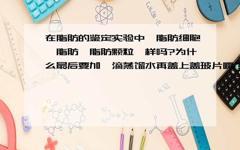 在脂肪的鉴定实验中,脂肪细胞,脂肪,脂肪颗粒一样吗?为什么最后要加一滴蒸馏水再盖上盖玻片啊？花生子叶的细胞是在在滴加了苏丹三染液后失去了活性，还是在加了酒精之后才失去的活性