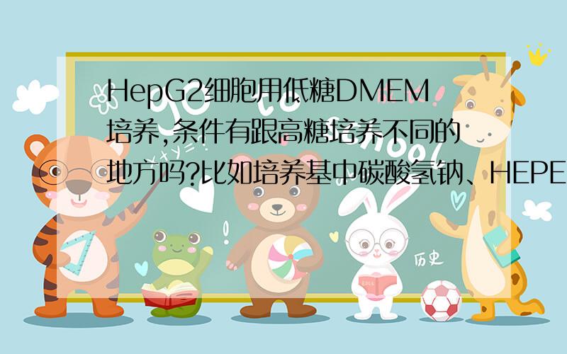 HepG2细胞用低糖DMEM培养,条件有跟高糖培养不同的地方吗?比如培养基中碳酸氢钠、HEPES的含量等等.