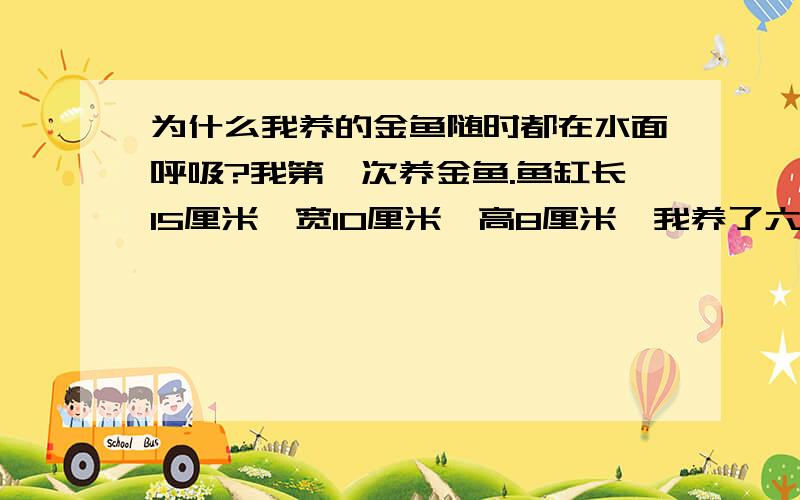 为什么我养的金鱼随时都在水面呼吸?我第一次养金鱼.鱼缸长15厘米,宽10厘米,高8厘米,我养了六只小金鱼,下午死了一条,剩下五条随时都感觉在浮头,而且上午换的水,下午没有喂食水都变得很