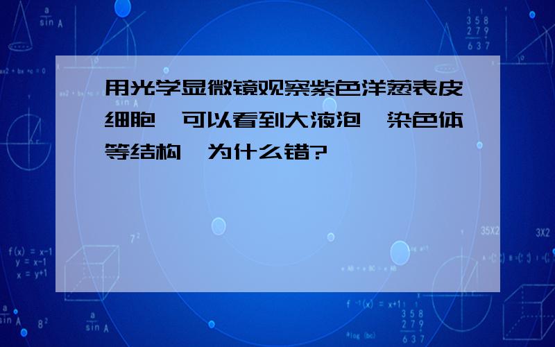 用光学显微镜观察紫色洋葱表皮细胞,可以看到大液泡,染色体等结构,为什么错?