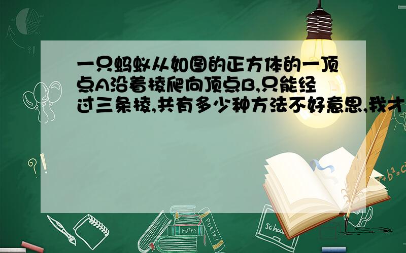 一只蚂蚁从如图的正方体的一顶点A沿着棱爬向顶点B,只能经过三条棱,共有多少种方法不好意思,我才一级,不能传图,如果看得懂,把图画一下,