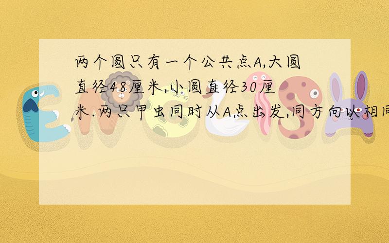 两个圆只有一个公共点A,大圆直径48厘米,小圆直径30厘米.两只甲虫同时从A点出发,同方向以相同的速度分别沿两个圆爬行.问：当小圆上的甲虫爬了几圈时,两只甲虫相距最远?