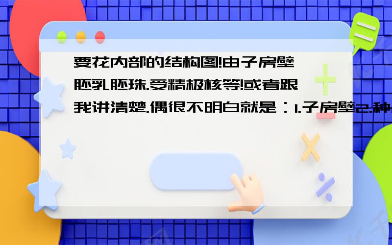 要花内部的结构图!由子房壁,胚乳胚珠.受精极核等!或者跟我讲清楚.偶很不明白就是：1.子房壁2.种皮3.果皮4.子叶5.胚乳6.胚芽我完全不知道他们在哪!特别是种皮和果皮他们就更分不清了?为什