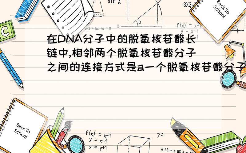 在DNA分子中的脱氧核苷酸长链中,相邻两个脱氧核苷酸分子之间的连接方式是a一个脱氧核苷酸分子中五碳糖的羟基与另一个脱氧核苷酸分子中的磷酸相连b一个脱氧核苷酸分子中的碱基与另一