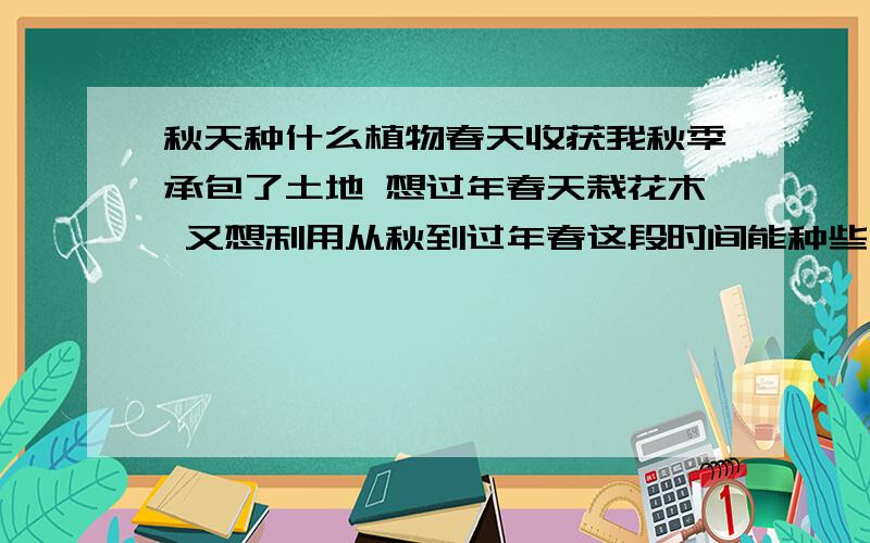 秋天种什么植物春天收获我秋季承包了土地 想过年春天栽花木 又想利用从秋到过年春这段时间能种些什么作物搞些收入