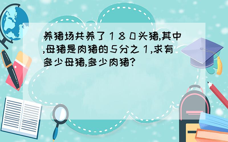 养猪场共养了１８０头猪,其中,母猪是肉猪的５分之１,求有多少母猪,多少肉猪?