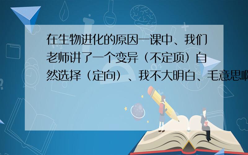 在生物进化的原因一课中、我们老师讲了一个变异（不定项）自然选择（定向）、我不大明白、毛意思啊