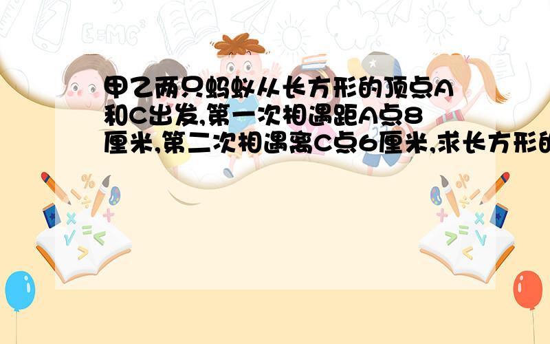 甲乙两只蚂蚁从长方形的顶点A和C出发,第一次相遇距A点8厘米,第二次相遇离C点6厘米,求长方形的周长