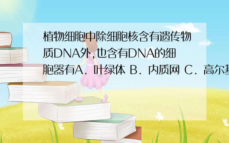 植物细胞中除细胞核含有遗传物质DNA外,也含有DNA的细胞器有A．叶绿体 B．内质网 C．高尔基体 D．线粒体 EE．核糖体