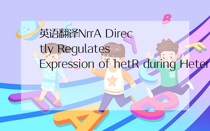 英语翻译NrrA Directly Regulates Expression of hetR during HeterocystDifferentiation in the Cyanobacterium Anabaena sp.Strain PCC 7120\1Heterocysts are terminally differentiated cells of cyanobacteriathat are capable of fixing atmospheric nitrogen