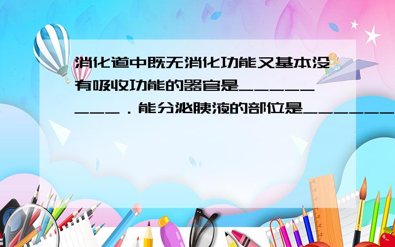 消化道中既无消化功能又基本没有吸收功能的器官是________．能分泌胰液的部位是______；分泌的消化液只能将淀粉消化成麦芽糖的消化腺是________.