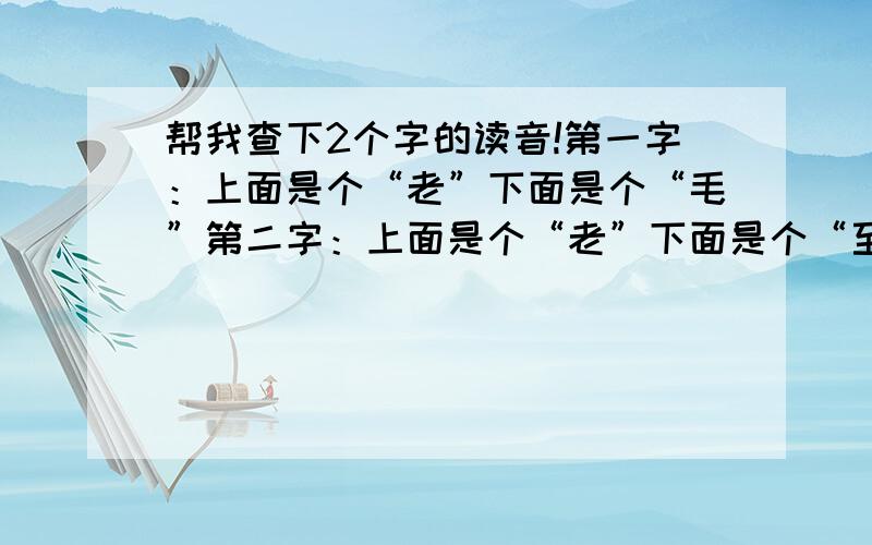 帮我查下2个字的读音!第一字：上面是个“老”下面是个“毛”第二字：上面是个“老”下面是个“至”2个人是形容老人的,知道的说下!