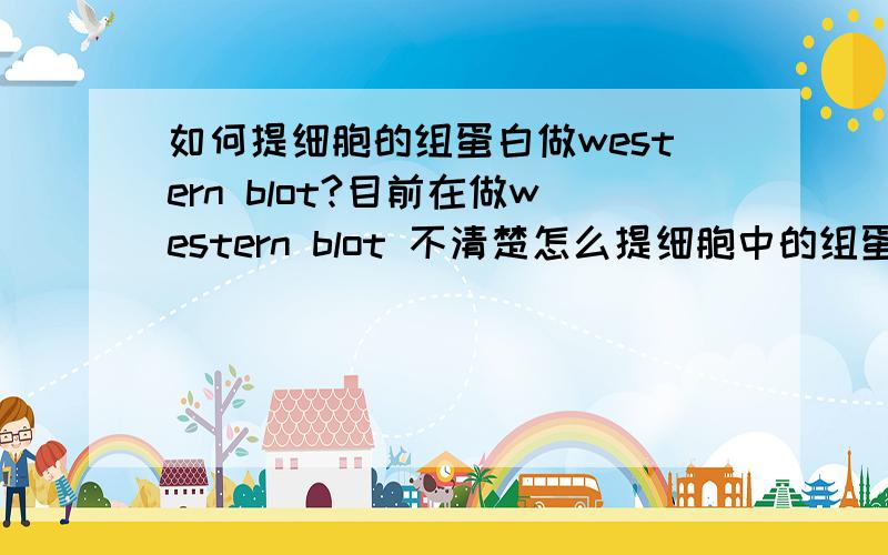 如何提细胞的组蛋白做western blot?目前在做western blot 不清楚怎么提细胞中的组蛋白怎么提,是用特殊的细胞裂解液吗?还是可以直接用核蛋白提取试剂盒呢?麻烦高手帮帮小弟.