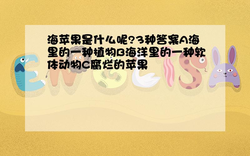 海苹果是什么呢?3种答案A海里的一种植物B海洋里的一种软体动物C腐烂的苹果