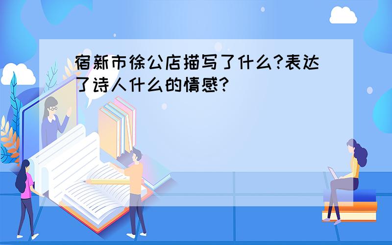 宿新市徐公店描写了什么?表达了诗人什么的情感?