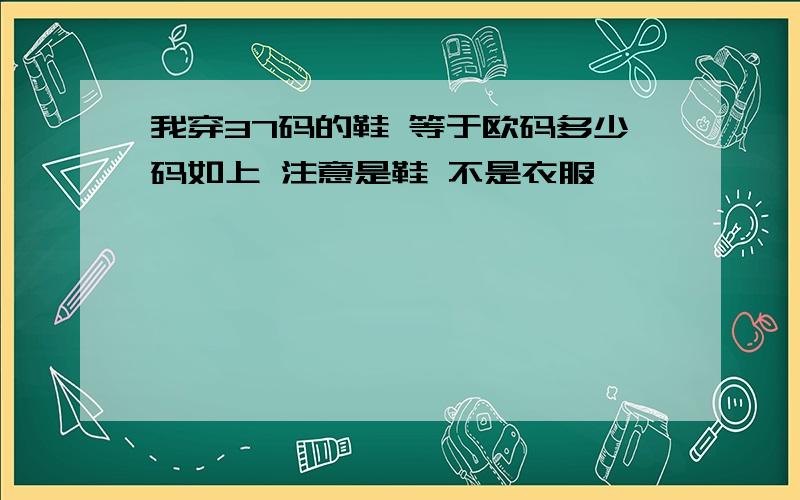 我穿37码的鞋 等于欧码多少码如上 注意是鞋 不是衣服