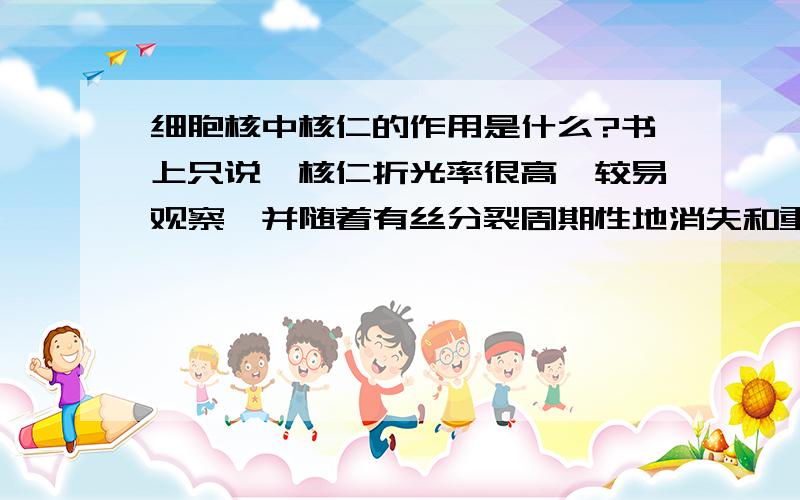 细胞核中核仁的作用是什么?书上只说,核仁折光率很高,较易观察,并随着有丝分裂周期性地消失和重建,但是它究竟有什么作用呢?难道仅仅是较易观察所以才命名的?