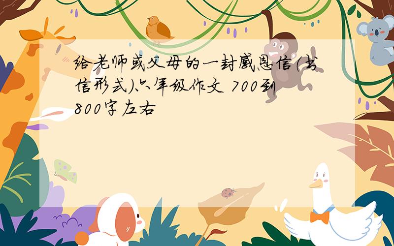 给老师或父母的一封感恩信（书信形式）六年级作文 700到800字左右