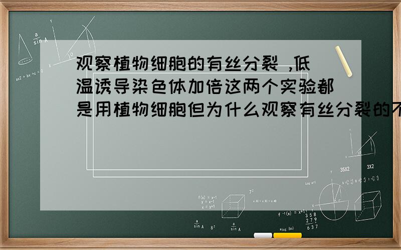 观察植物细胞的有丝分裂 ,低温诱导染色体加倍这两个实验都是用植物细胞但为什么观察有丝分裂的不需要加卡诺氏液?这两个实验还有什么区别?有什么需要注意的地方?