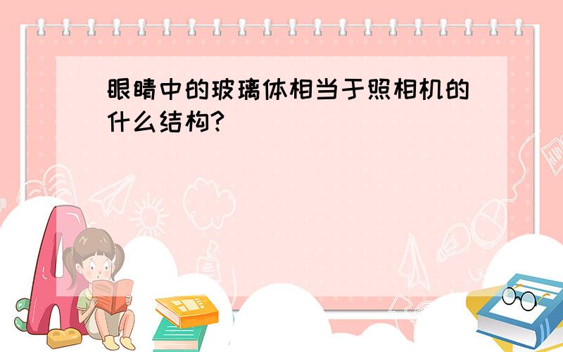 眼睛中的玻璃体相当于照相机的什么结构?