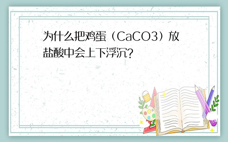 为什么把鸡蛋（CaCO3）放盐酸中会上下浮沉?