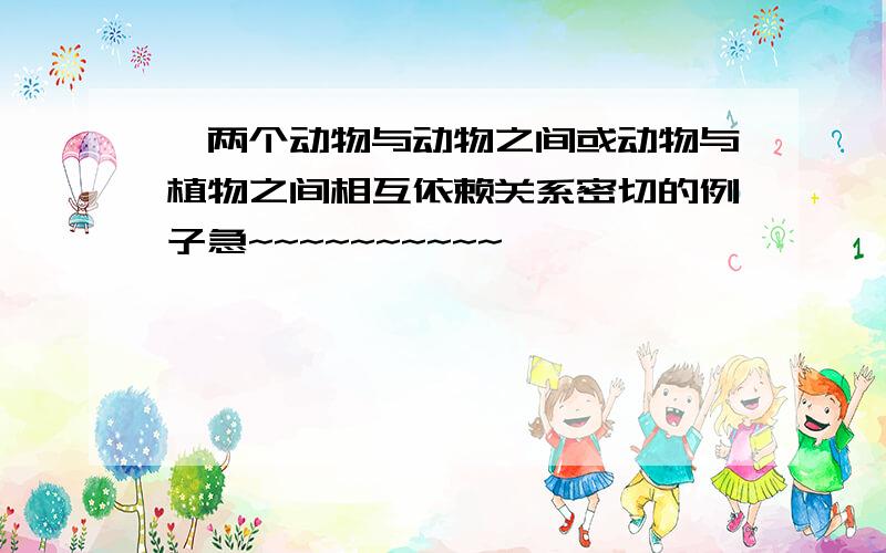 一两个动物与动物之间或动物与植物之间相互依赖关系密切的例子急~~~~~~~~~~