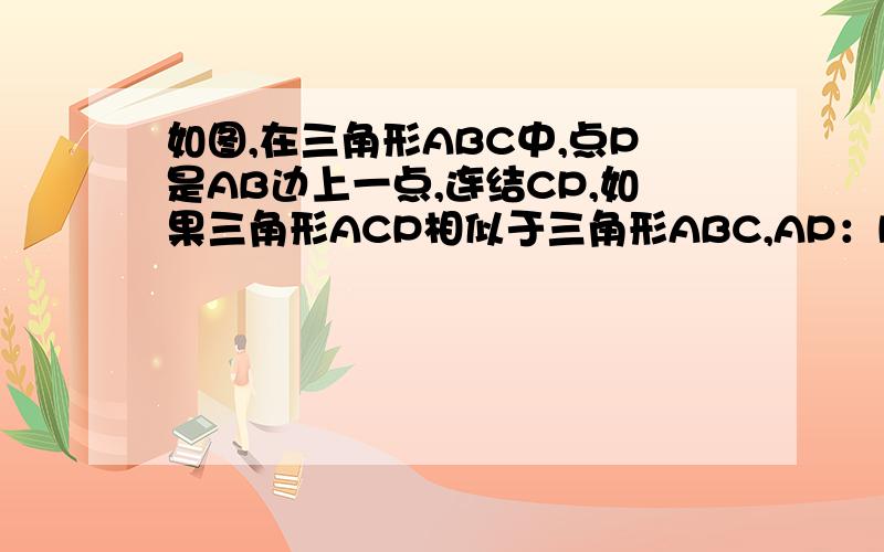 如图,在三角形ABC中,点P是AB边上一点,连结CP,如果三角形ACP相似于三角形ABC,AP：PB=2：1,你能算出PC如图，在三角形ABC中，点P是AB边上一点，连结CP，如果三角形ACP相似于三角形ABC，AP：PB=2：你能