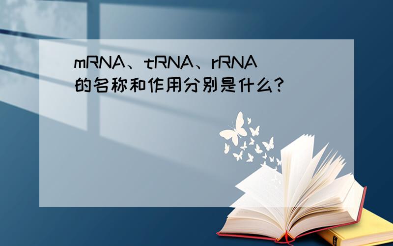 mRNA、tRNA、rRNA的名称和作用分别是什么?