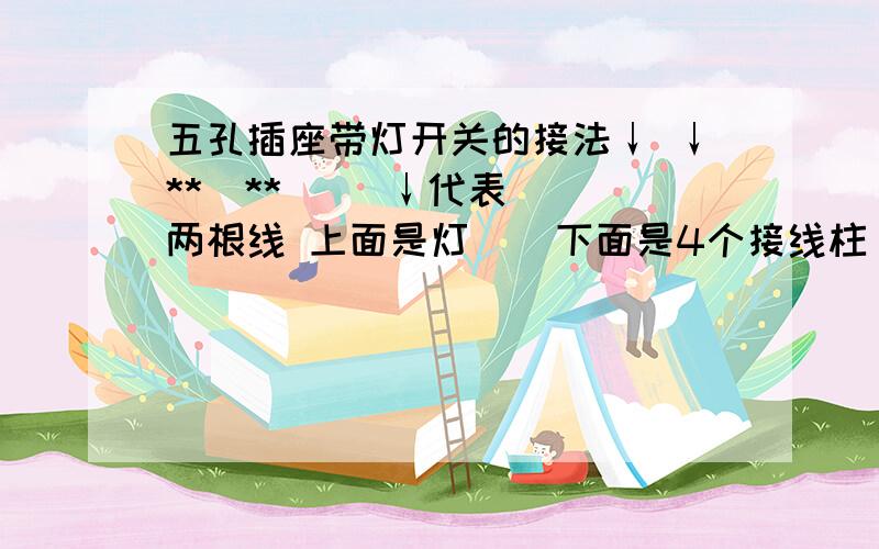 五孔插座带灯开关的接法↓ ↓**  **     ↓代表两根线 上面是灯    下面是4个接线柱  左面是插座上的 右面是灯 请教各位  在线等./.就两根线啊·   等就在线上  灯↓  ↓**  **  .